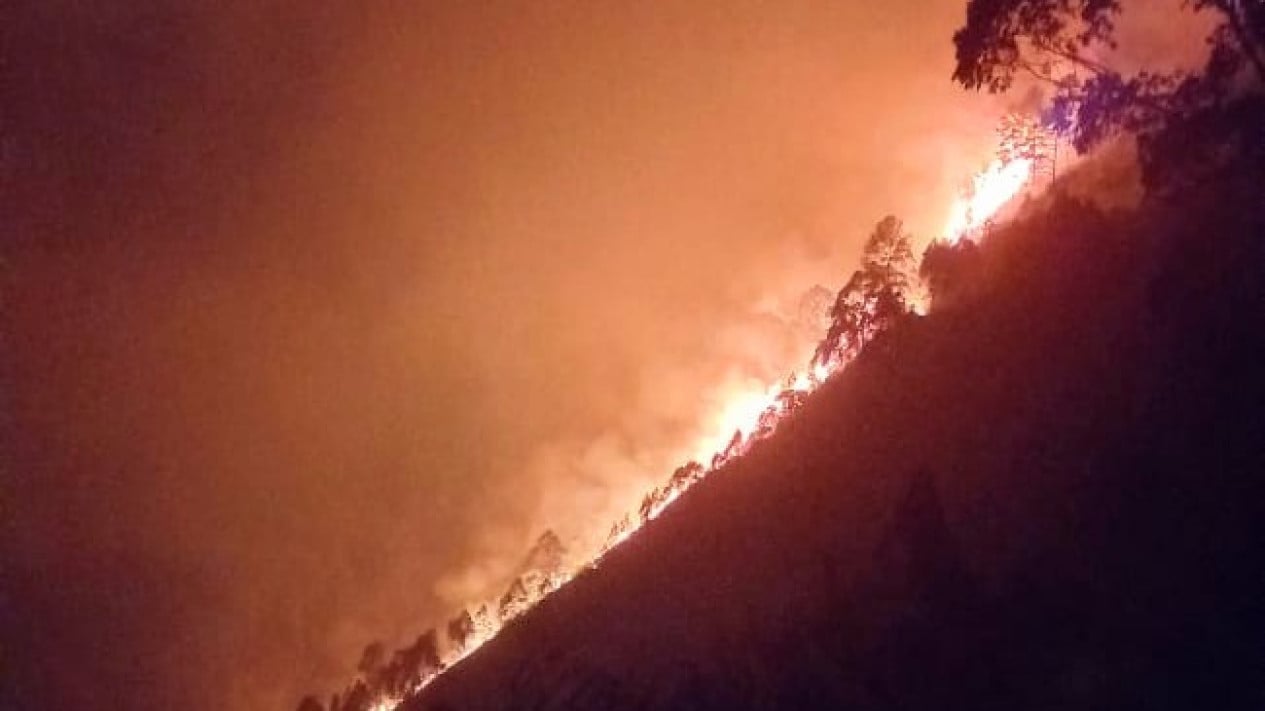 Danau Toba Membara Lagi, Kebakaran Hutan Kembali Terjadi di Kabupaten Samosir