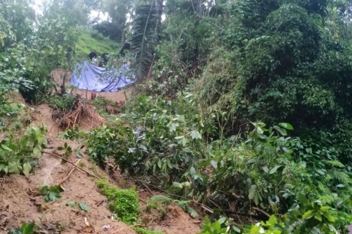 Cuaca Ekstrem di Ambon Picu Longsor di 17 Titik, Ada 4 Rumah Rusak, 2 Talud Amblas